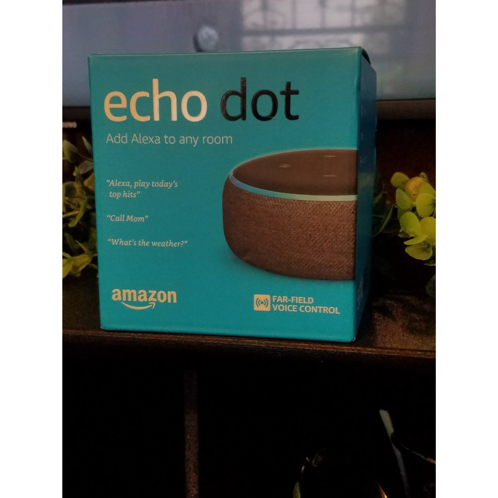 Alexa - Echo Dot